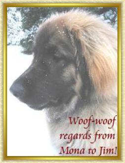 "Mona", my great friend Axel's dog