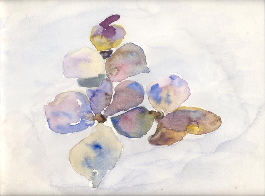 Aquarell-Bl�ten in Blau / Aquarelle blooms in blue / Fleurs aquarelle en bleu     von / by / de   M.H.K.