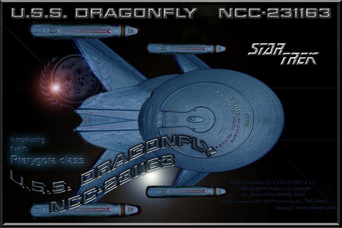 U.S.S. DRAGONFLY NCC-231163 Pterygota class