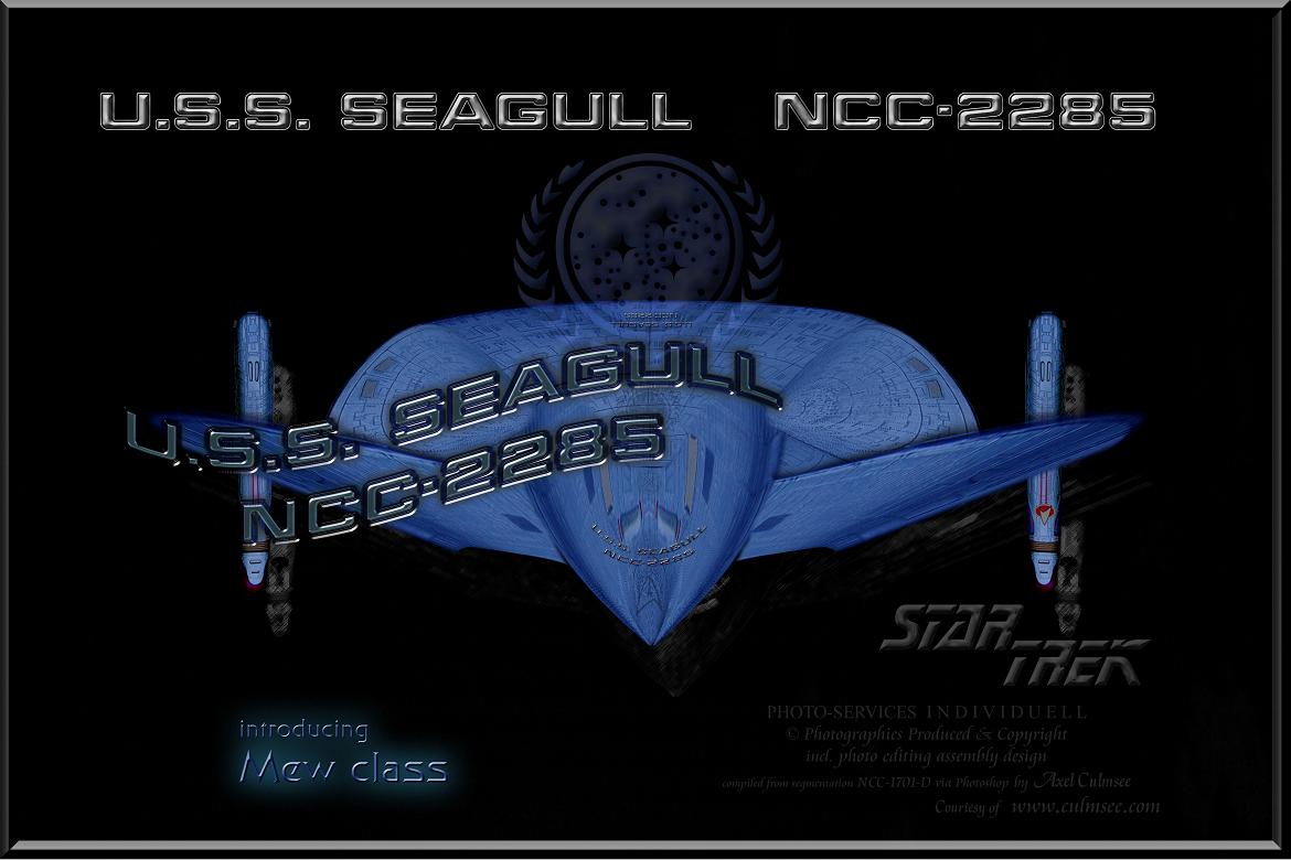 U.S.S. SEAGULL NCC-2285 Mew class
