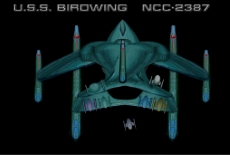 BIRDWING NCC-2387