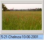 leaving Chelmza with its skyline: field of poppy
