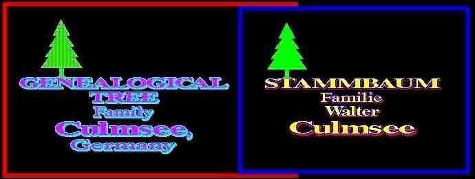 Genealogical tree family Culmsee   /   Stammbaum Familie Culmsee