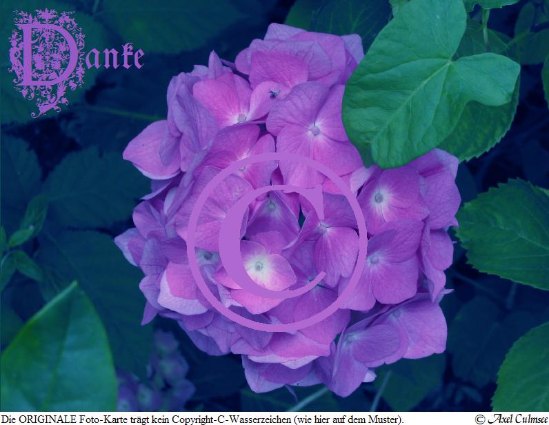 Hort-Art 866 Danke-Elfe