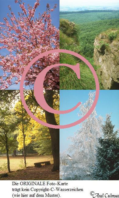 Jahreszeiten (Seasons 1-4)