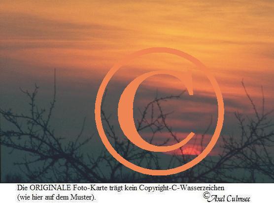 Sonnenuntergang Ce-Wipfel 