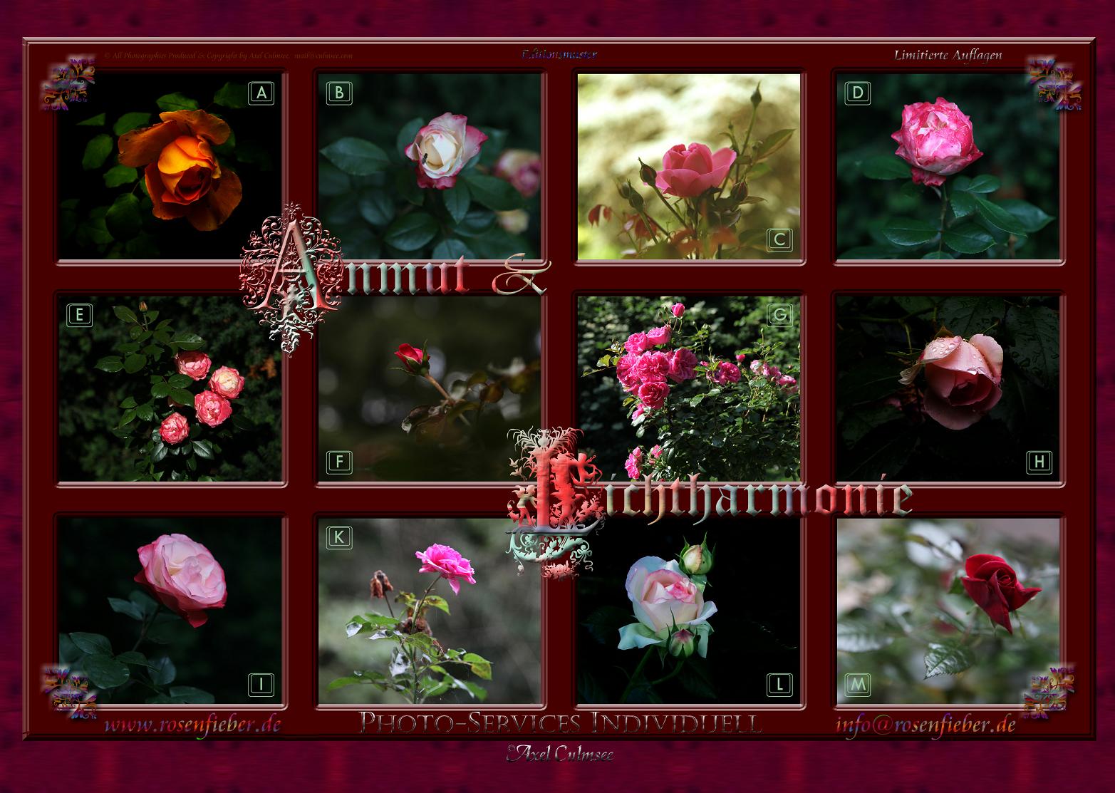 Kalender-Edition "Anmut und Lichtharmonie" - zum Vergrößern bitte unten stehenden BUTTON anKLICKEN...