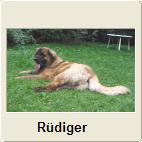 Foto vergr��ern per Klick
