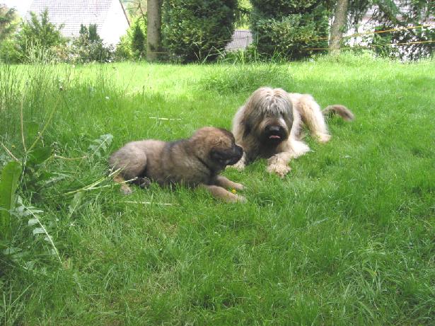 Was spielen wir als n�chstes?