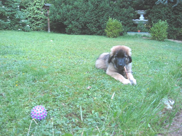 St�ckchen sind einfach klasse!