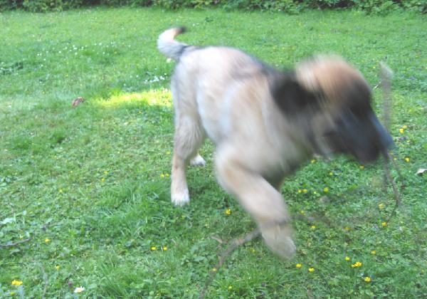 Das ist meins!