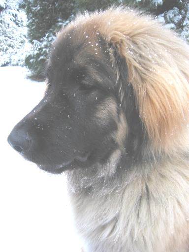 You are astonished at that snow, too, aren't you?!!