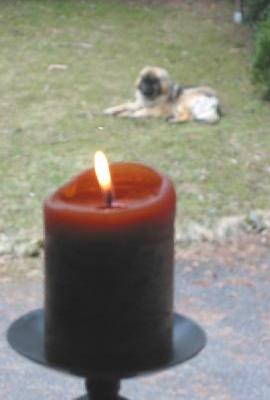 "...die Mona hat Geburtstag!..."