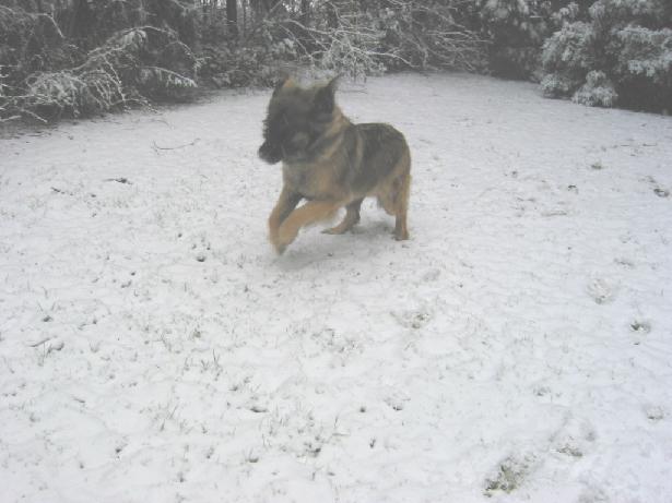 Mona im Schnee