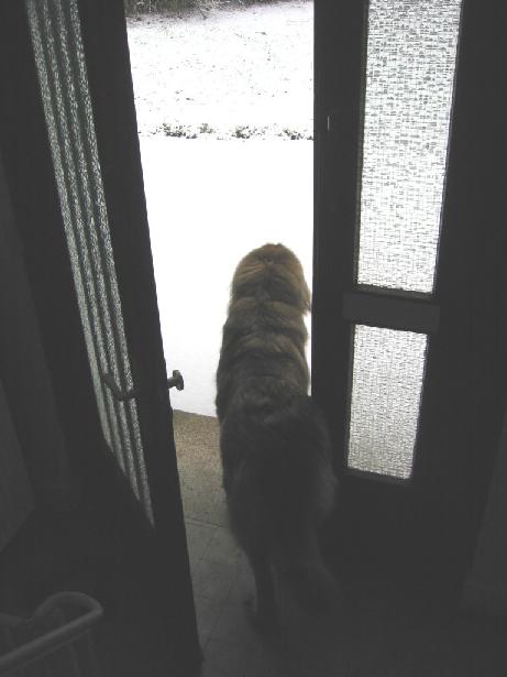 zum Spa� im Schnee...