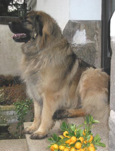 Mona, 3 Jahre und 3 Wochen