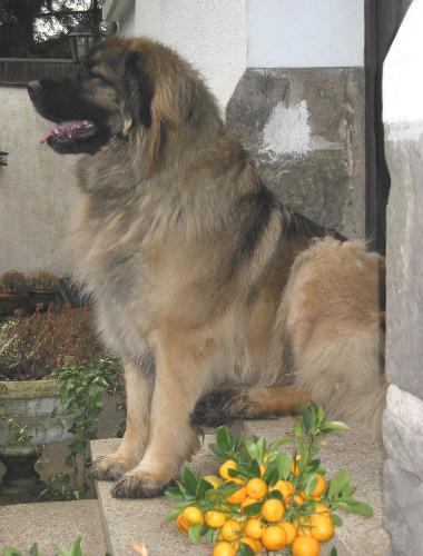 Mona, 3 Jahre und 3 Wochen