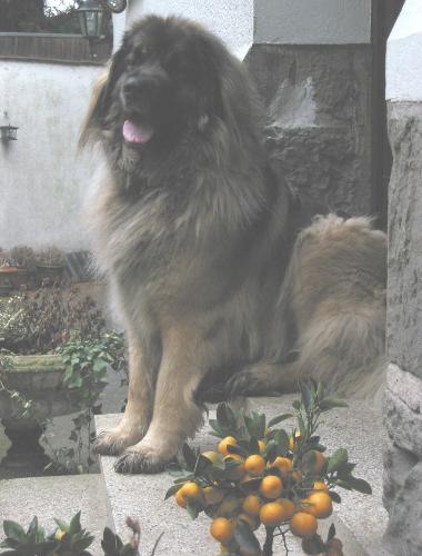 Mona, 3 Jahre und 3 Wochen