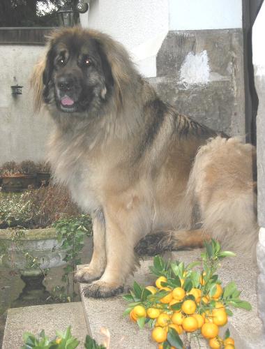 Mona, 3 Jahre und 3 Wochen