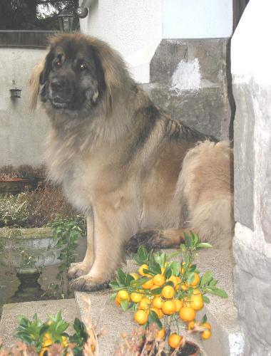 Mona, 3 Jahre und 3 Wochen