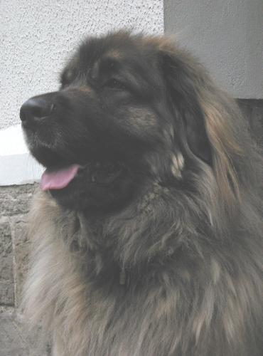 Mona, 3 Jahre und 3 Wochen
