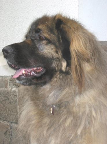 Mona, 3 Jahre und 3 Wochen