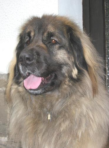 Mona, 3 Jahre und 3 Wochen