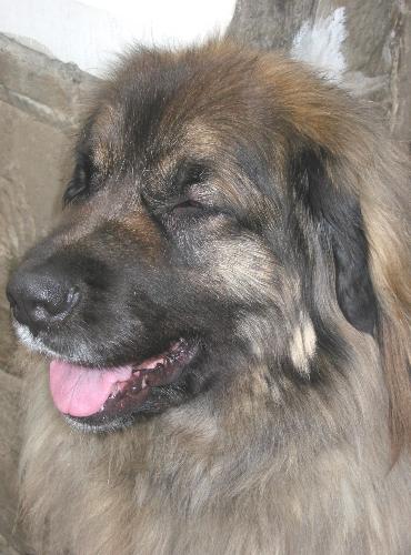 Mona, 3 Jahre und 3 Wochen