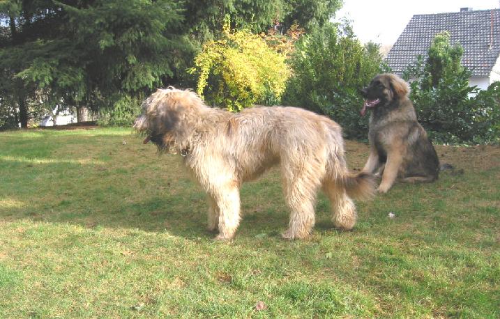 kurze Verschnaufpause