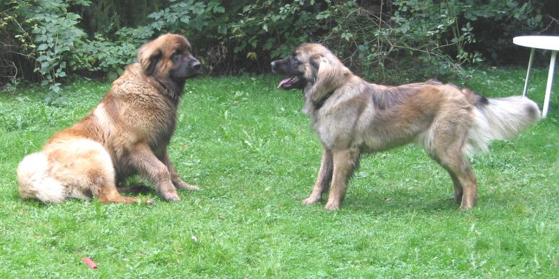 Bist du schon m�de?