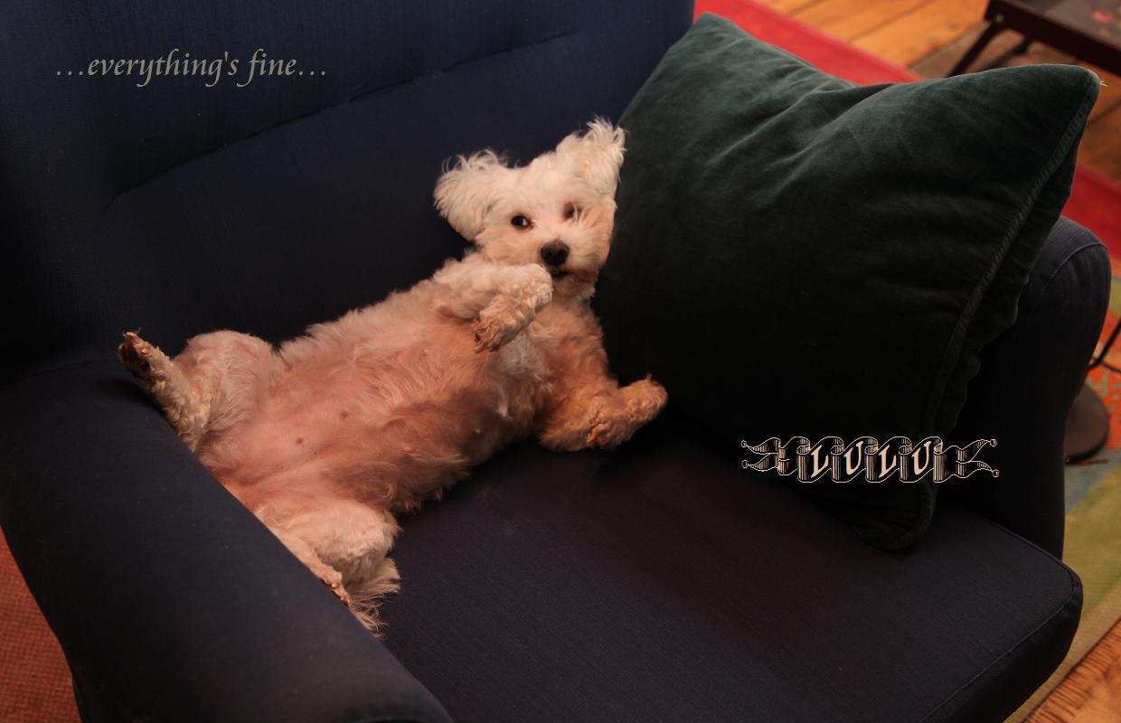 LuLu: ...everything's fine...!