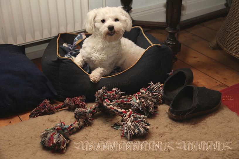 LuLu zeigt ihr Spielzeug...