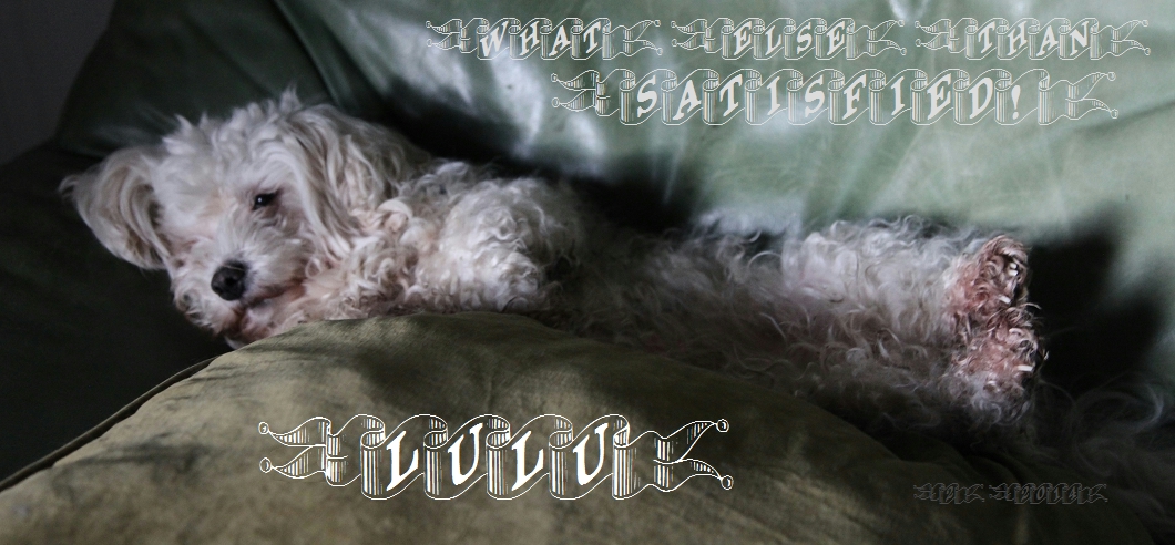 LuLu: what else than satisfied!