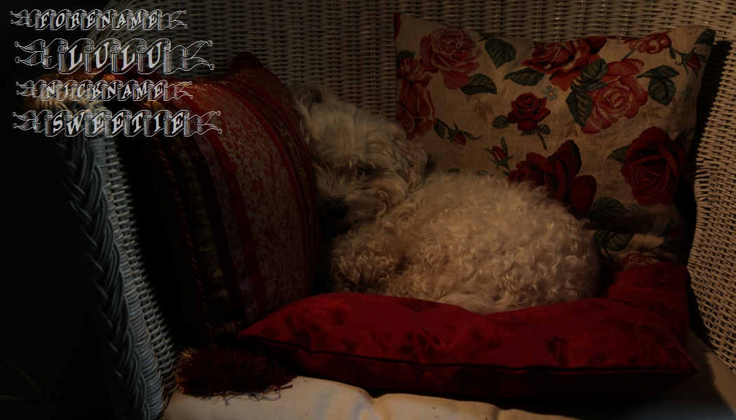 forename LuLu, nickname Sweetie