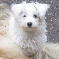 LuLu   -   12 Wochen