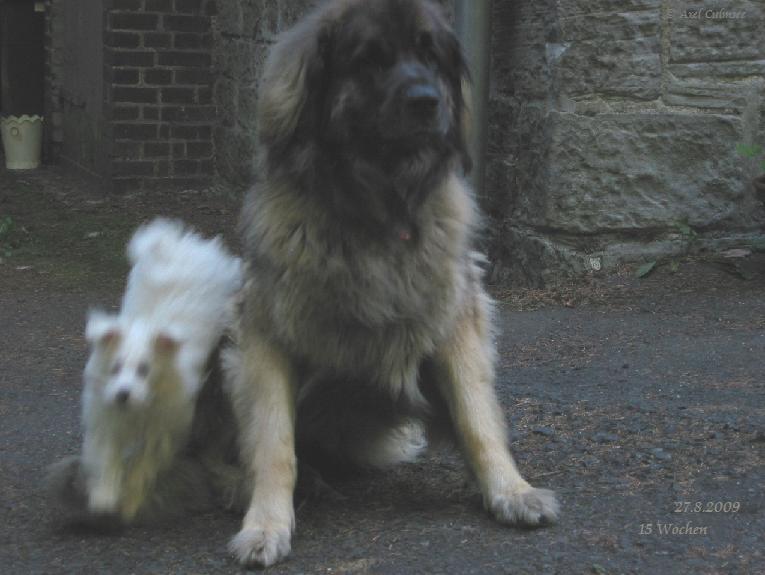 LuLu hat's eiliger als Mona...