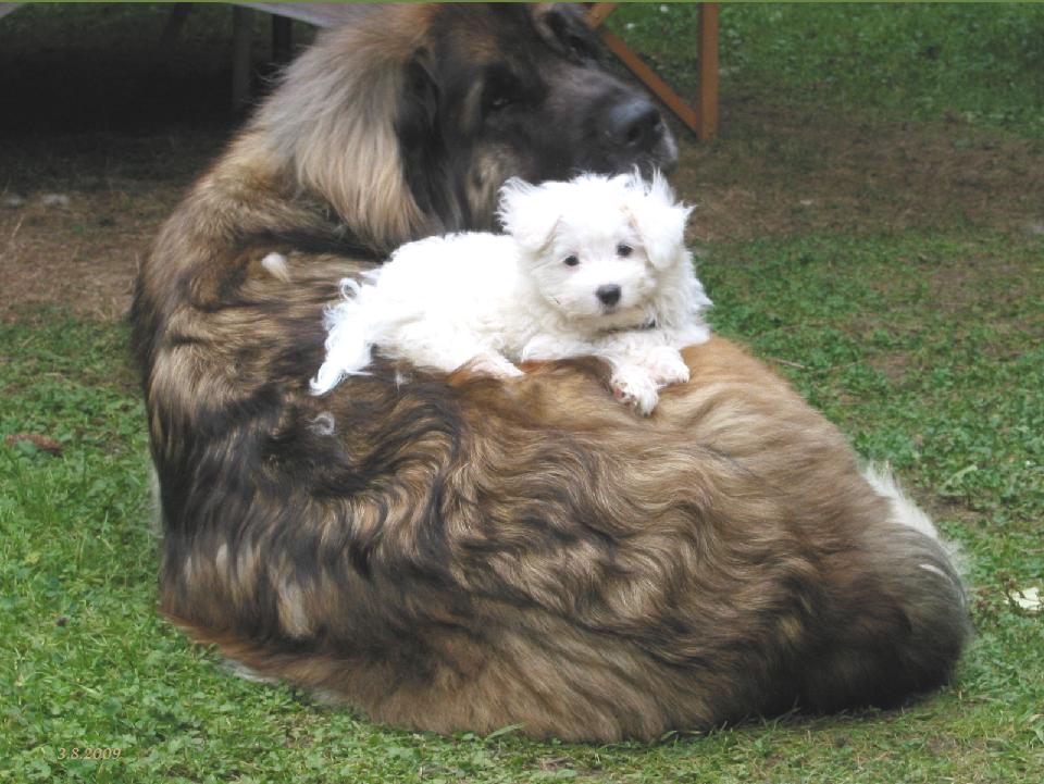 LuLu meint. dass das mit dem Knipsen was ganz Neues ist...