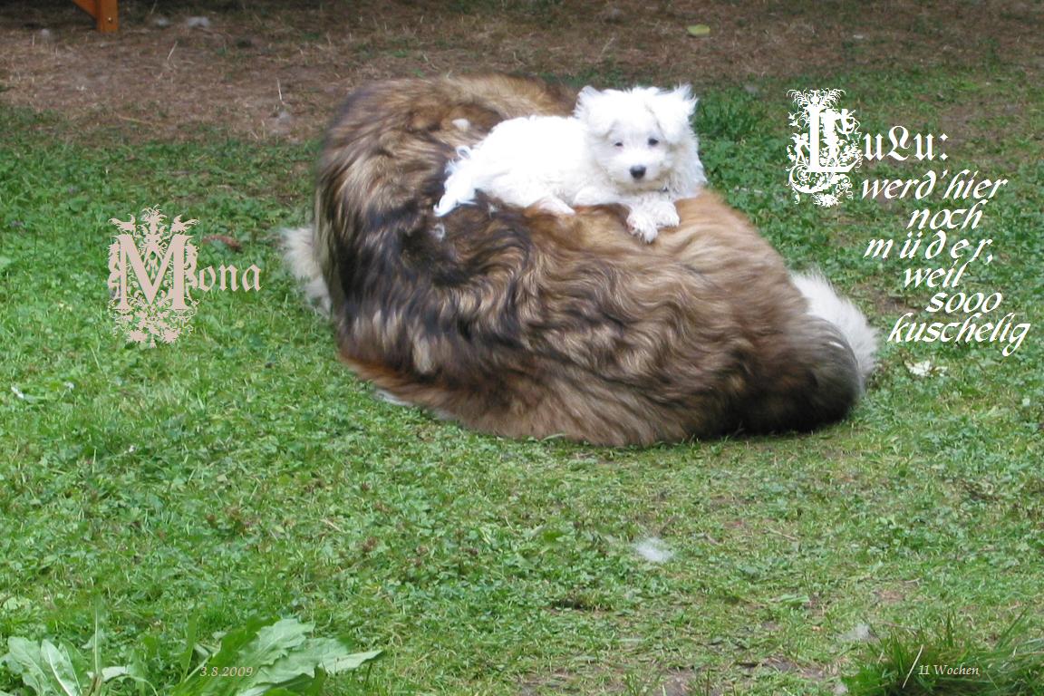 LuLu und Mona verstehen sich bestens...