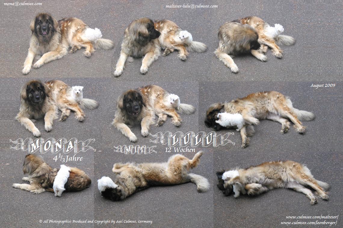 LuLu spiel sooo gern mit ihrer Mona...