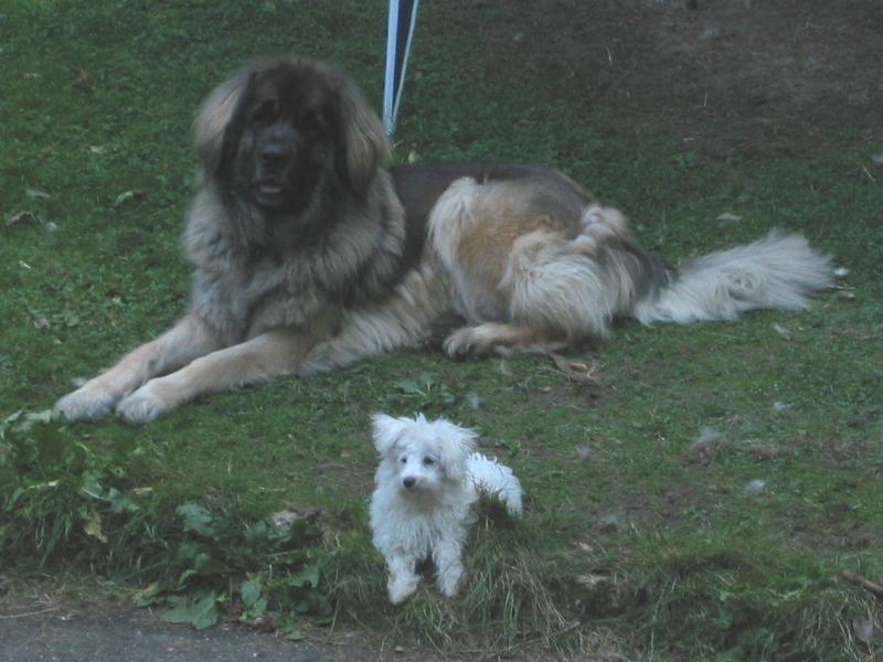 Was kommt als N�chstes...?