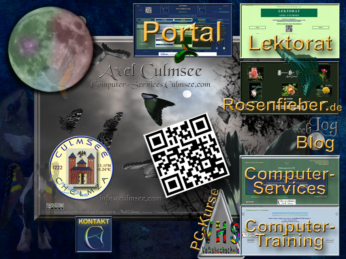 Portal Websites Axel Culmsee