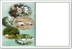 letze Seite der Edition mit 42 Seiten