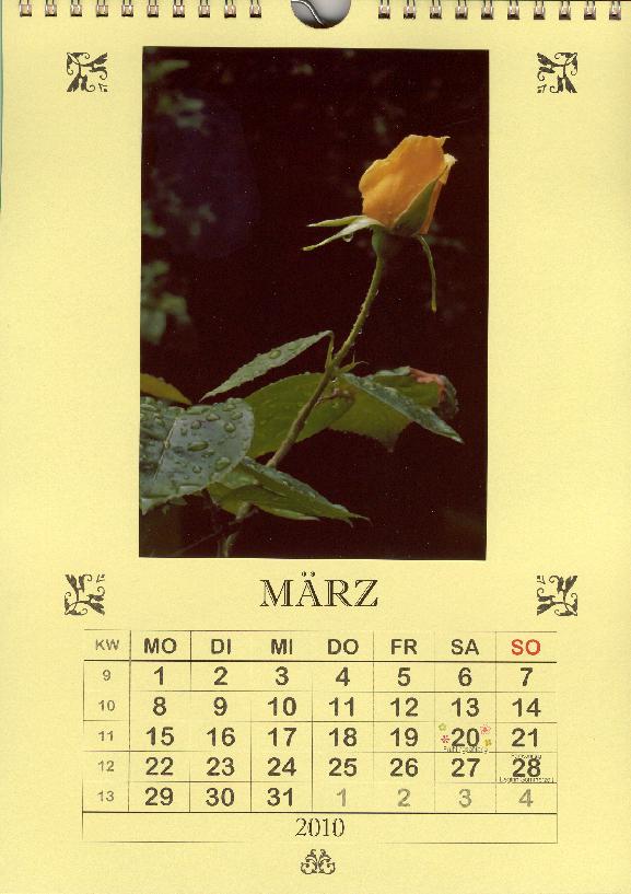 Kalenderblatt 3/2010 als Muster