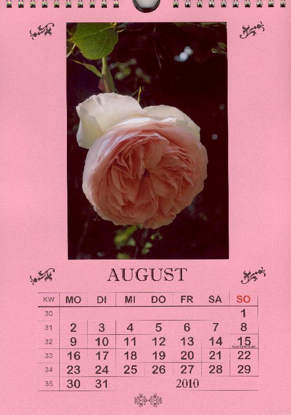 Kalenderblatt 8/2010 als Muster