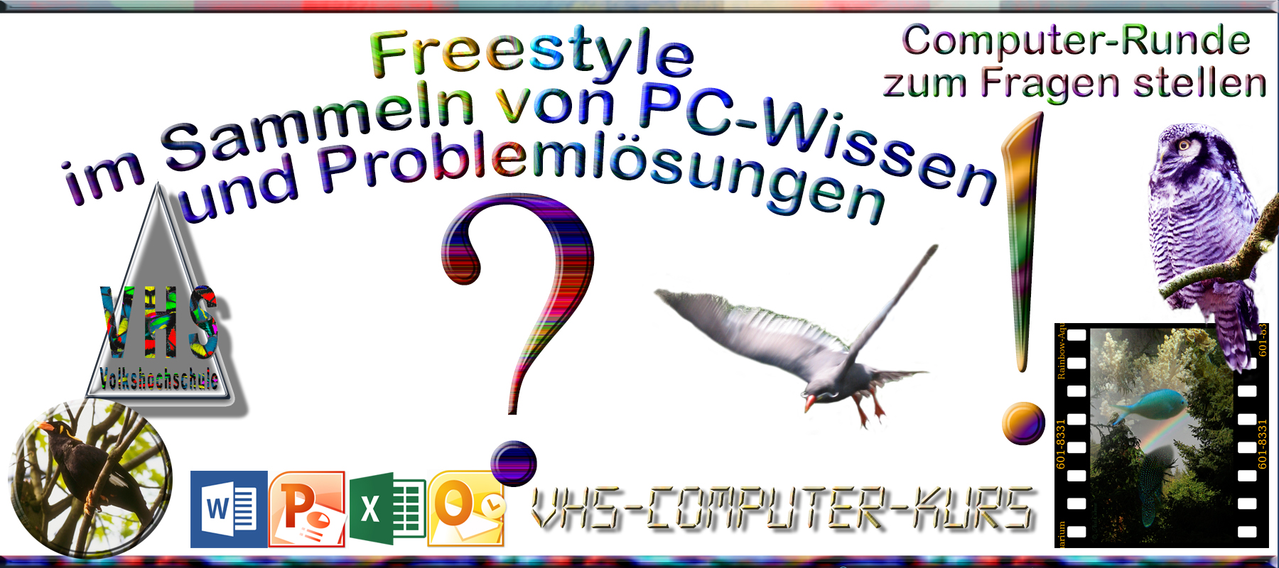 Freestyle im Sammeln von PC-Wissen und Problemlsungen