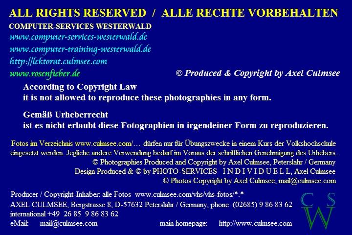 Copyright